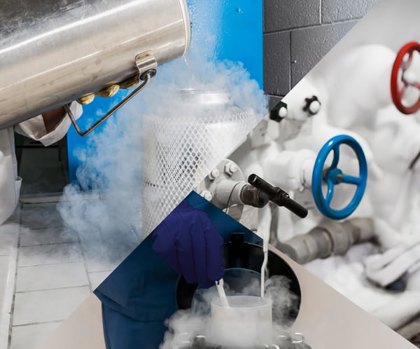 The Various Applications of Cryogenic Gloves